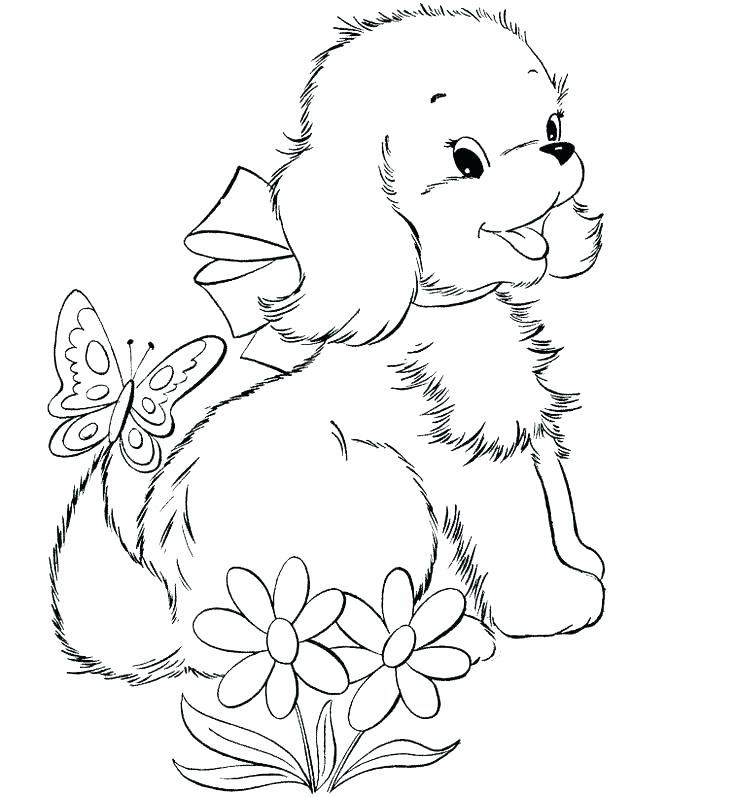 Yorkie Coloring Pages Coloring Pages Coloring Pages Coloring Pages 736x797 Yorkie Coloring Pages Coloring Pages Coloring Pages Coloring Pages