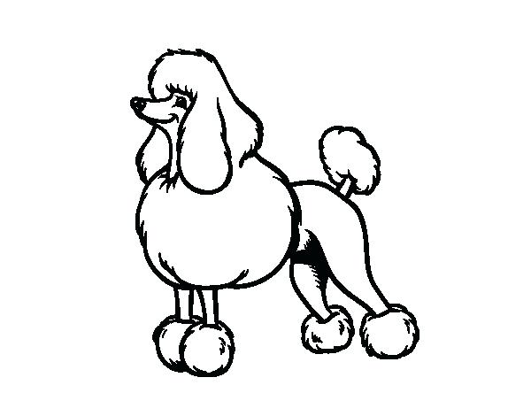 600x470 Poodle Coloring Page Snooty Poodle Coloring Page Poodle Coloring