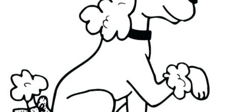 443x220 Cute Poodle Coloring Pages Design And Ideas Page 0