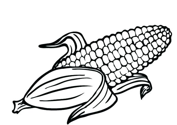 600x427 Corn Coloring Pages Corn Cartoon Coloring Page Corn Coloring Pages