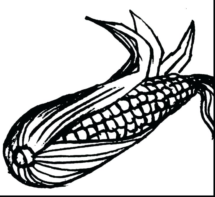 728x666 Corn Coloring Pages Corn Coloring Page With Wallpaper Android