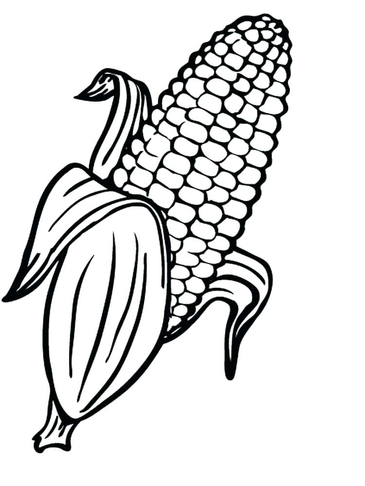 750x1000 Popcorn Coloring Free Coloring Free Printable Corn Stalks Coloring