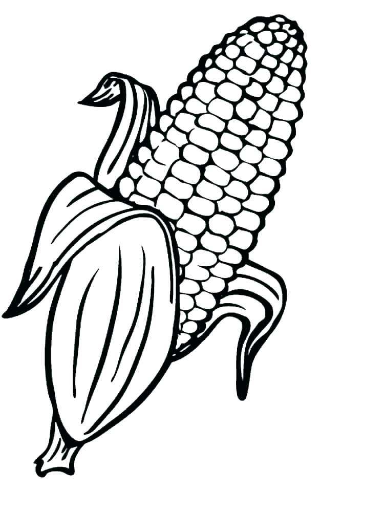 750x1000 Popcorn Coloring Sheet Popcorn Kernel Coloring Page Sheet Pages