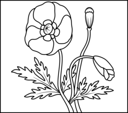 256x226 Poppy Coloring Page. Printables. Apps For Kids.