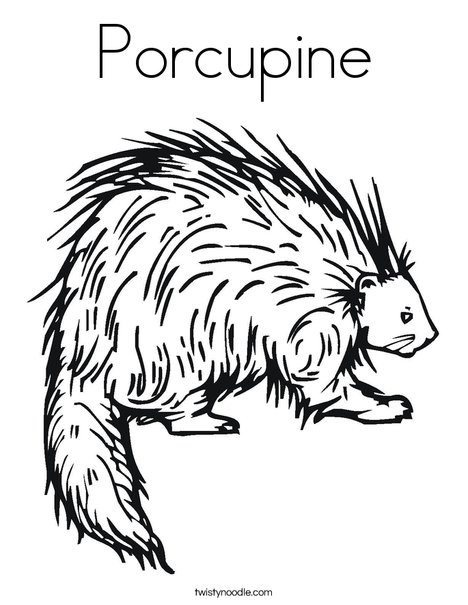 468x605 Porcupine Coloring Page