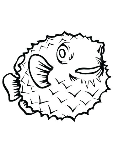 360x480 Porcupine Coloring Page Porcupine Coloring Page Picture Of A Fish