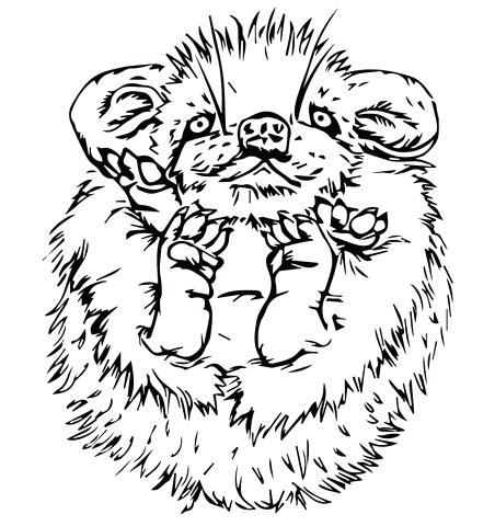 452x480 Cute Baby Porcupine Coloring Page Click To See Printable Version