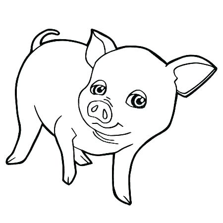 450x450 Coloring Pages Of Pigs Pig Coloring Page Pig Colouring Pages