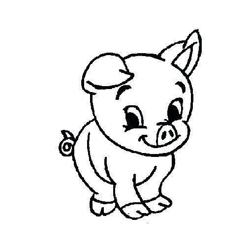 502x500 Cute Pig Coloring Pages Cute Pig Coloring Pages Baby Pig Coloring