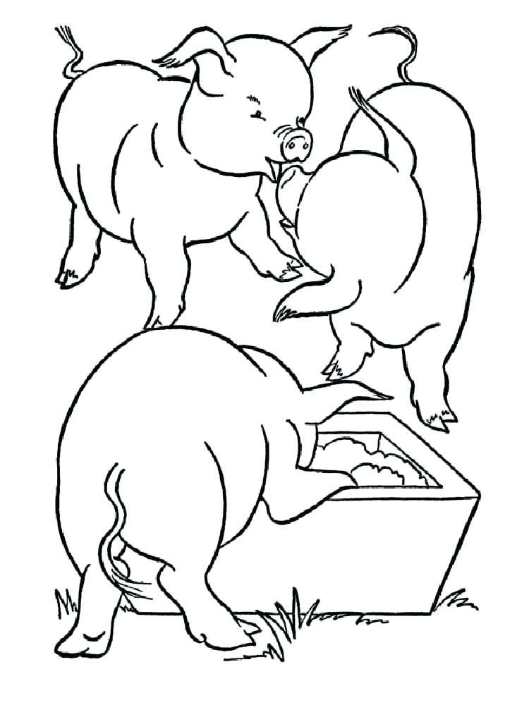 Free Printable Pig Coloring Pages For Kids Animals Pig Coloring 750x1000 Free Printable Pig Coloring Pages For Kids Animals Pig Coloring