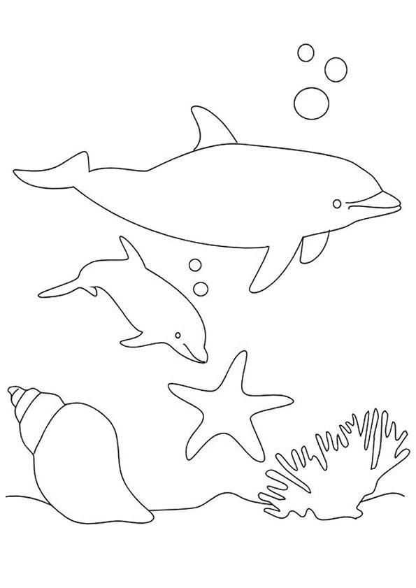 Porpoise Coloring Pages