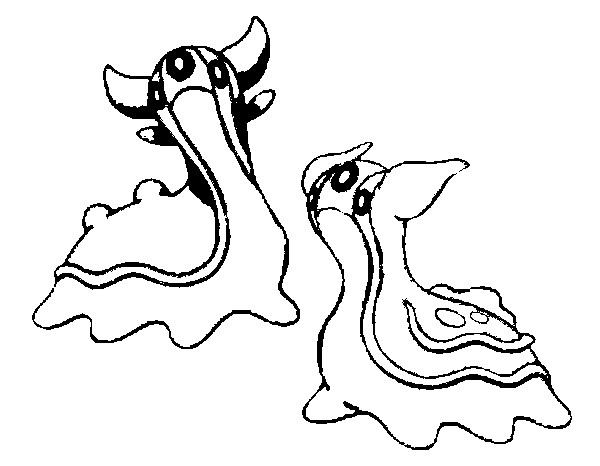 600x466 Coloring Pages Pokemon