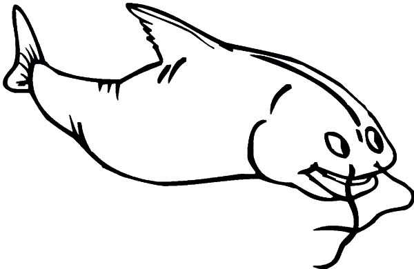 600x390 Catfish Feeling Excited Coloring Pages Catfish Feeling Excited