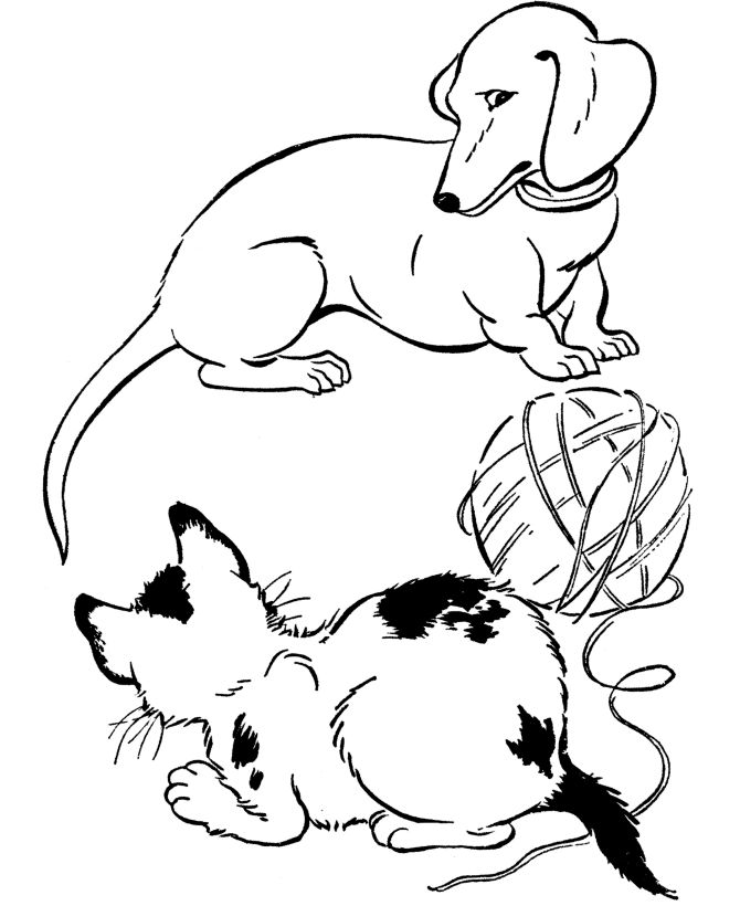 16 Best Dachshund Coloring Pages Images On Dachshund 670x820 16 Best Dachshund Coloring Pages Images On Dachshund