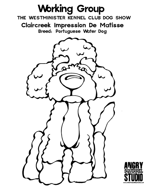 Pin By Angry Squirrel Studio On Westminster Kennel Club Dog Show 500x647 Pin By Angry Squirrel Studio On Westminster Kennel Club Dog Show