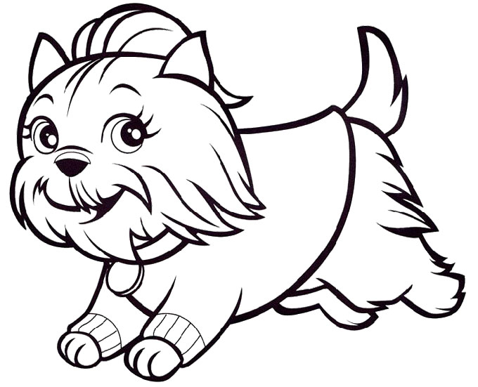 Portuguese Water Dog Coloring Page at GetColorings.com | Free printable ...