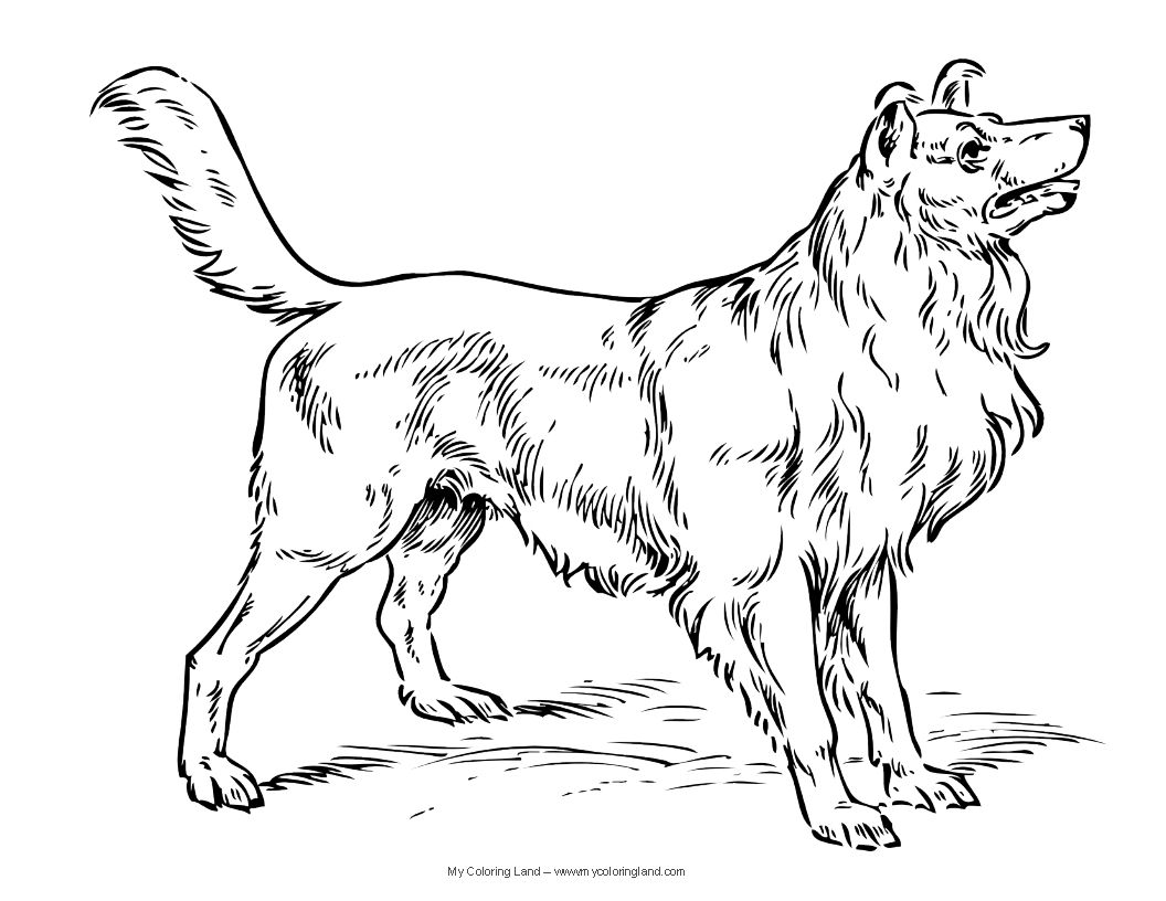Dogs Clor Page Dog Coloring Pages Alexis Dog 1056x816 Dogs Clor Page Dog Coloring Pages Alexis Dog
