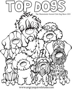 22 Best Collection 240x300 22 Best Collection