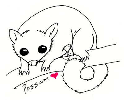 Cute Possum Drawing 400x323 Cute Possum Drawing