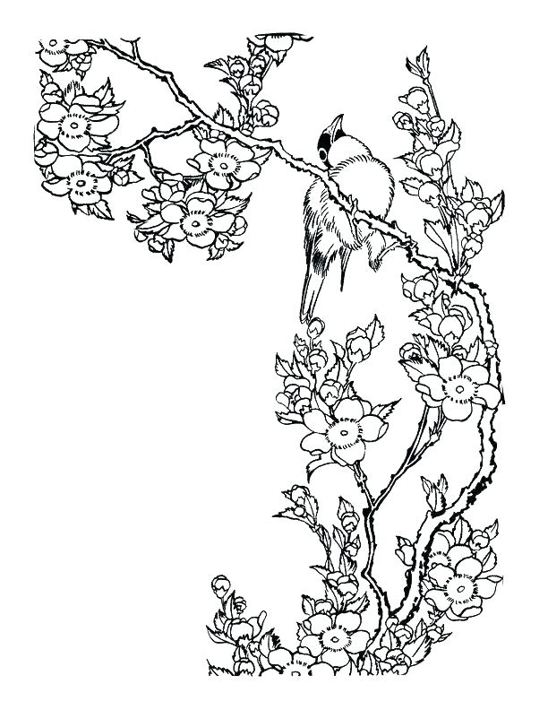 Japan Coloring Page Coloring Book Plus Coloring Pages Japan Secret 612x792 Japan Coloring Page Coloring Book Plus Coloring Pages Japan Secret