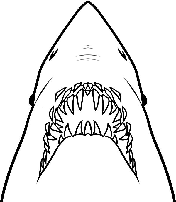 Jaws Ready To Ripped Out Coloring Pages Jaws Ready To Ripped Out 600x687 Jaws Ready To Ripped Out Coloring Pages Jaws Ready To Ripped Out