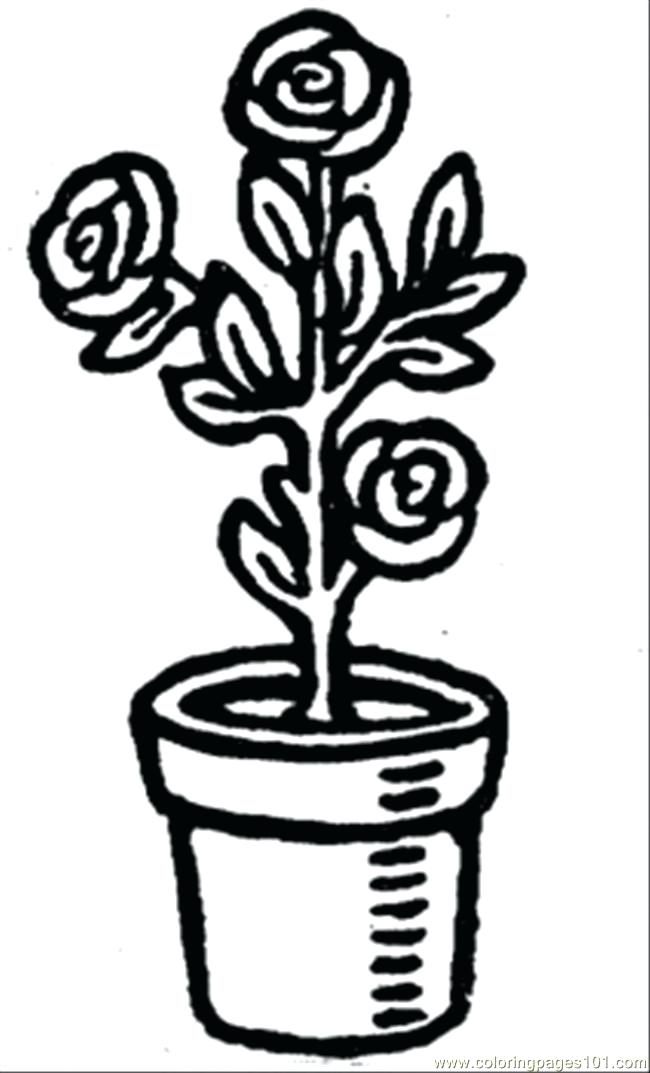 650x1073 Flower Pot Coloring Page