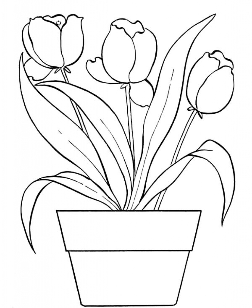 837x1024 Coloring Pages Of Flower Pots Educational In Pot Page Pertaining