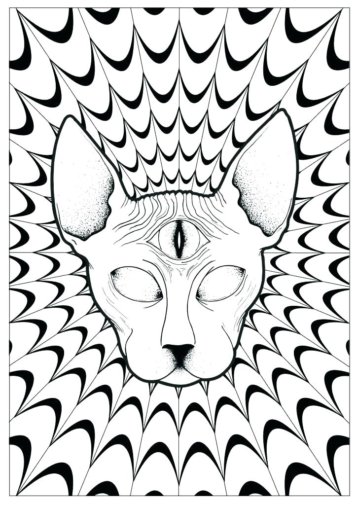 724x1024 Leaf Colouring Picture Leaf Coloring Pictures Fall Leaves Coloring