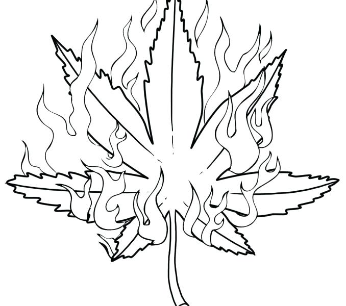 678x600 Pot Leaf Coloring Pages Pot Leaf Coloring Pages Draw Pot Leaf