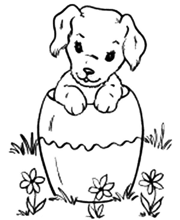 600x736 Chihuahua Dog Inside Pottery Coloring Pages