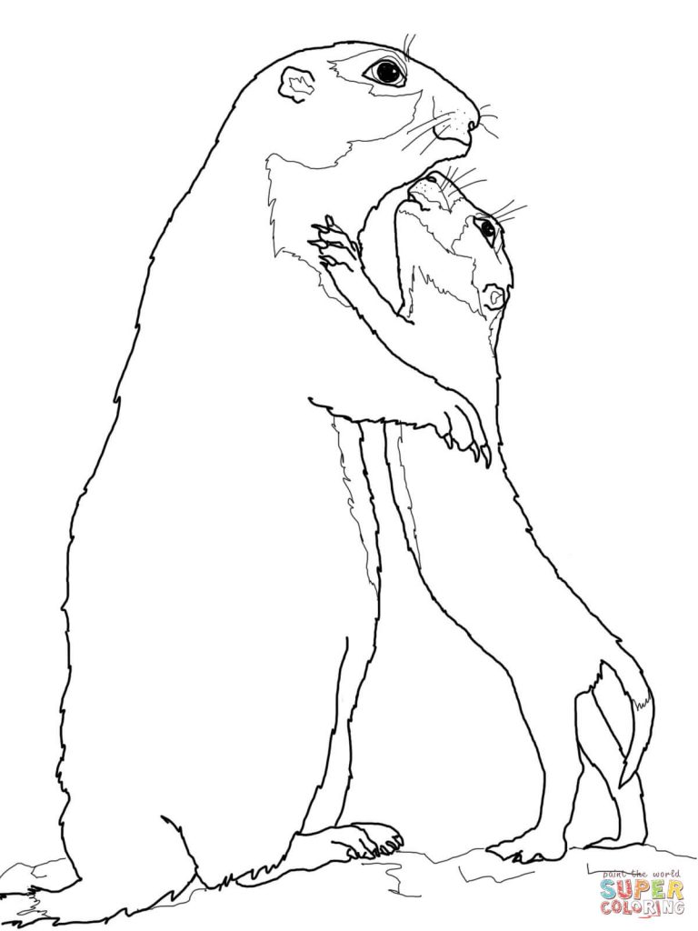 768x1024 Prairie Dog Baby And Mother Coloring Page Print Download