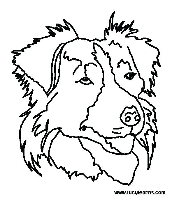 590x677 Coloring Pictures Of Dog Coloring Dog Sheet Free Dog Coloring