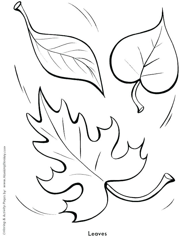 Pre K Coloring Pages Icontent 670x820 Pre K Coloring Pages Icontent