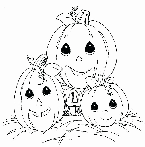 505x512 Coloring Pages Fun Kindergarten Fun2draw Animals Coloring Pages