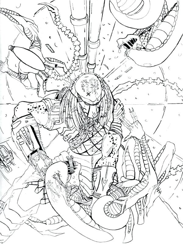 600x800 Predator Prey Coloring Pages The Is The Result Of An Alien