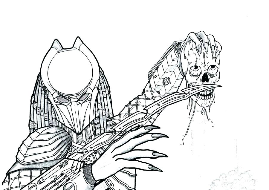 900x636 Anaconda Coloring Pages Impair.co