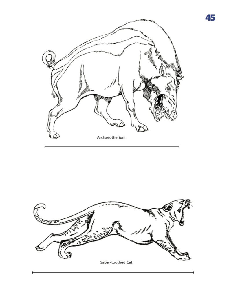791x1024 Puppy Coloring Pages Pet Shop Coloring Pages