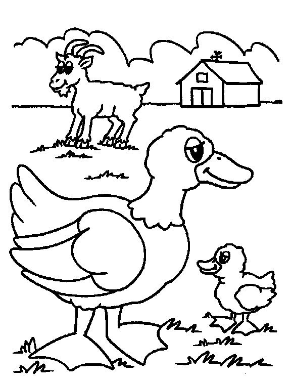 576x757 Farm Animal Coloring Pages For Preschoolers 19 Preschool Farm