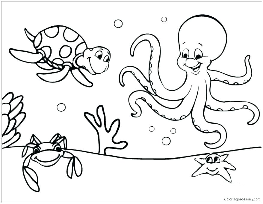878x683 Ocean Coloring Pages For Preschool Ocean Animal Coloring Pages