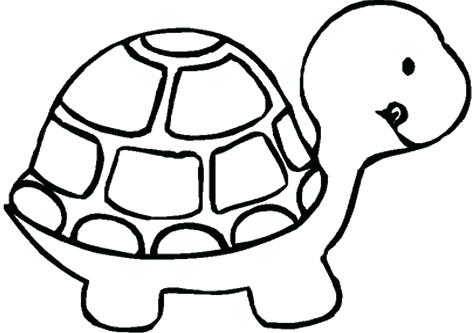 Coloring Pages Zoo Animals Animals Coloring Medium Size Turtle Art 476x333 Coloring Pages Zoo Animals Animals Coloring Medium Size Turtle Art
