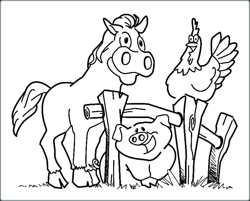 800x642 Farm Color Pages Barnyard Animals Coloring Pages Farm Animals