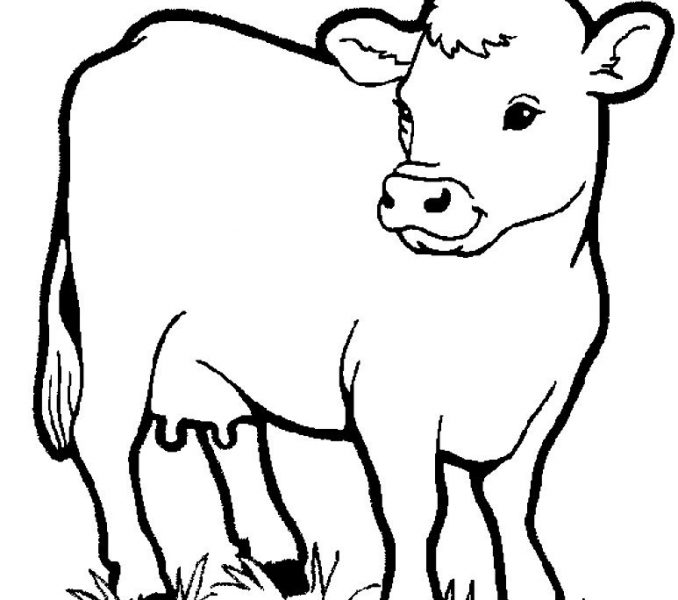 678x600 Preschool Animal Coloring Pages Kids Coloring Page