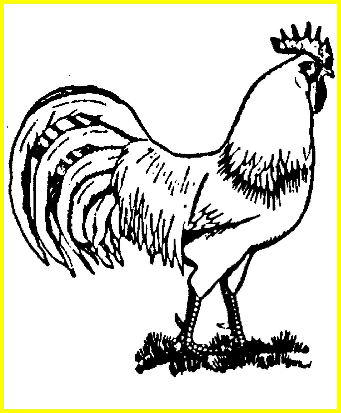 1294x1568 The Best Farm Animal Coloring Pages Cock Coloringstar Picture