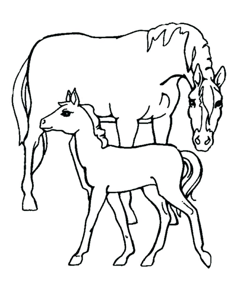 Preschool Farm Animal Coloring Pages at GetColorings.com | Free ...