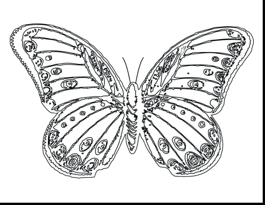 1024x791 Coloring Pages ~ Beautiful Coloring Pages Brilliant Butterfly