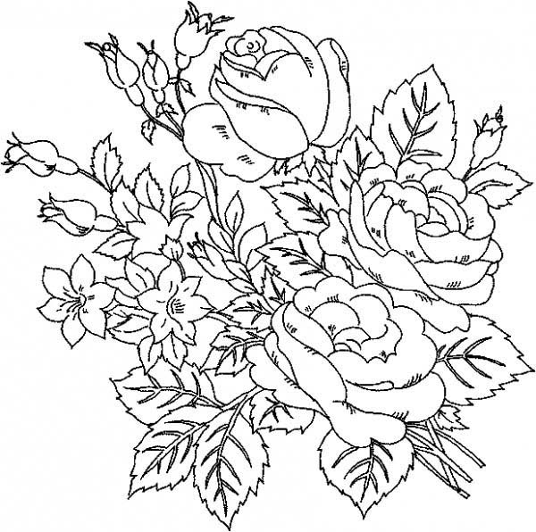 600x596 Beautiful Roses Flower Coloring Page