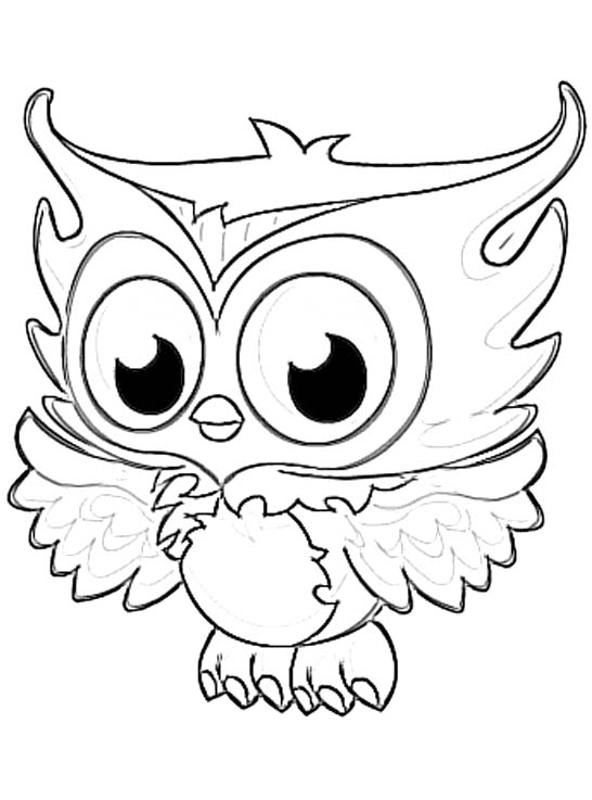 Cute Owl Coloring Pages 546x737 Cute Owl Coloring Pages