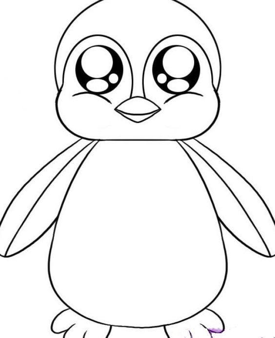 Cartoon Pictures Of Animals To Color In Cute Animal Regarding 564x692 Cartoon Pictures Of Animals To Color In Cute Animal Regarding