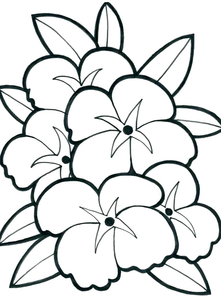 765x1024 Cute Flower Coloring Pages Spring Flowers Coloring Sheets Spring