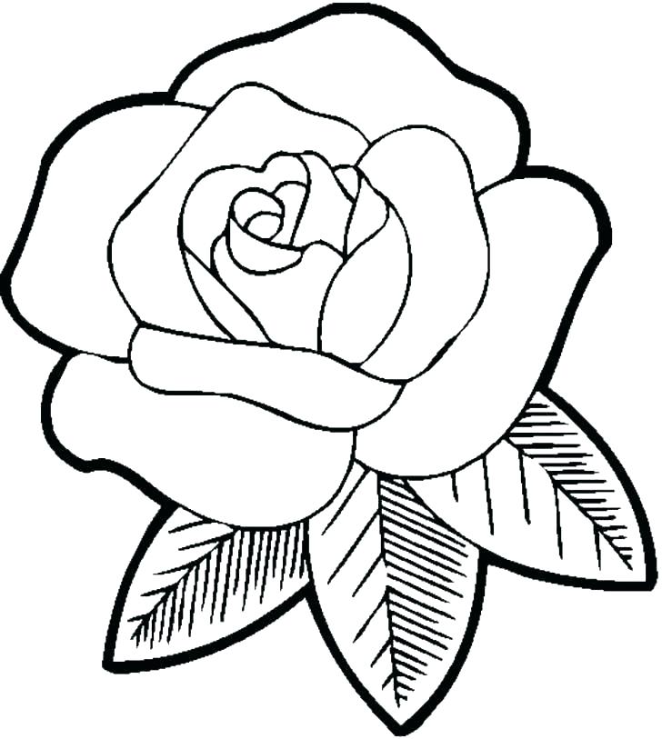 728x813 Pretty Flower Coloring Pages Coloring Pages For Flowers Beautiful